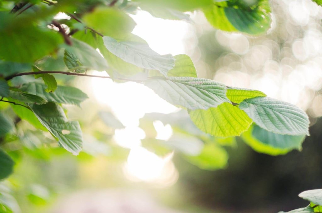 RITMO® (proche EMDR): un outil efficace !