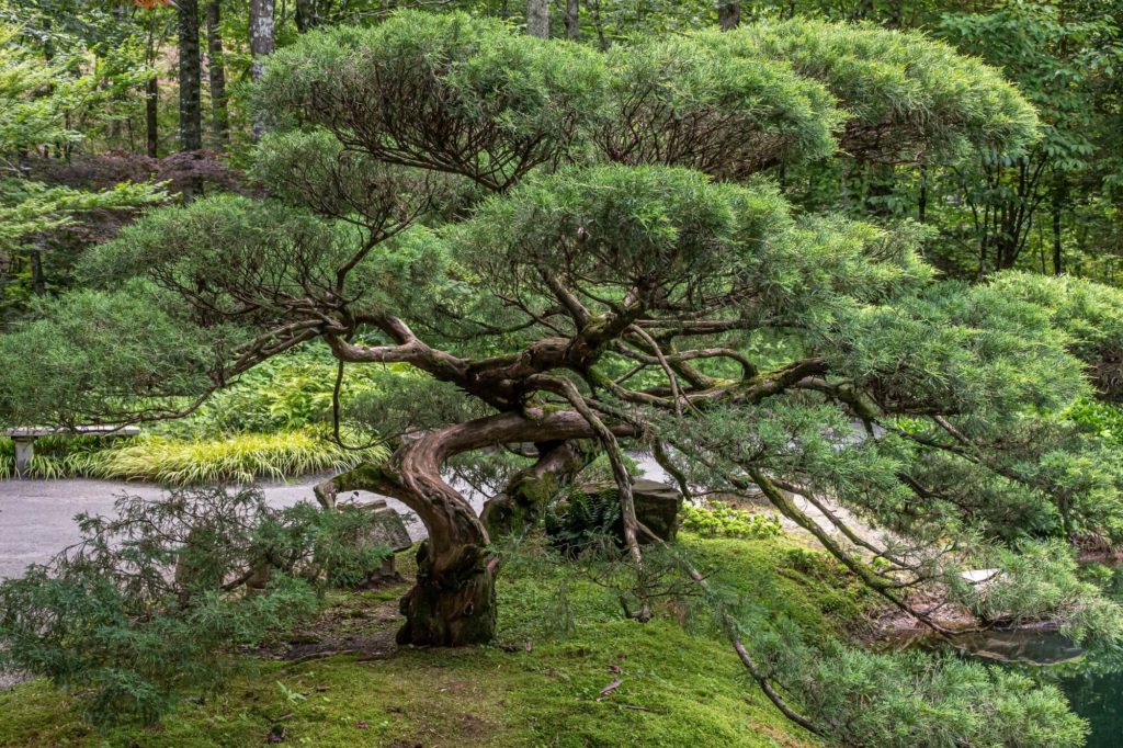 L’hypnose thérapeutique : à quoi ça sert ?